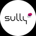 SullyGroup